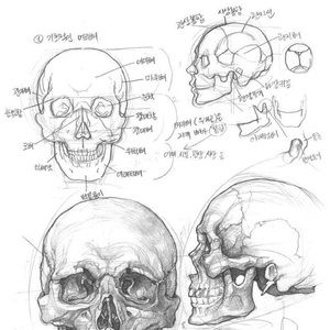 Meet your Posher, Ace